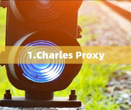 1.Charles Proxy