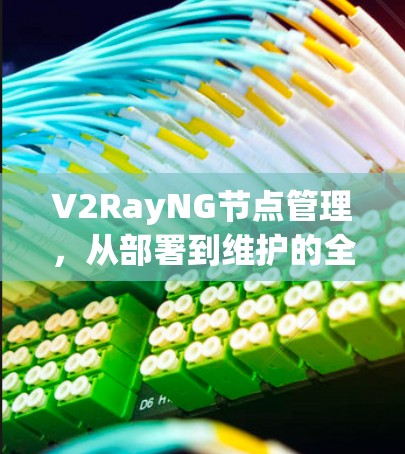 V2RayNG节点管理,从部署到维护的全指南