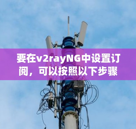 要在v2rayNG中设置订阅，可以按照以下步骤操作