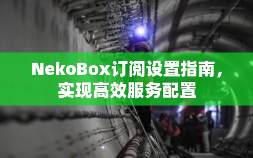 NekoBox订阅设置指南，实现高效服务配置